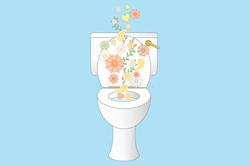 رفع بوی بد دستشویی با بوگیر توالت