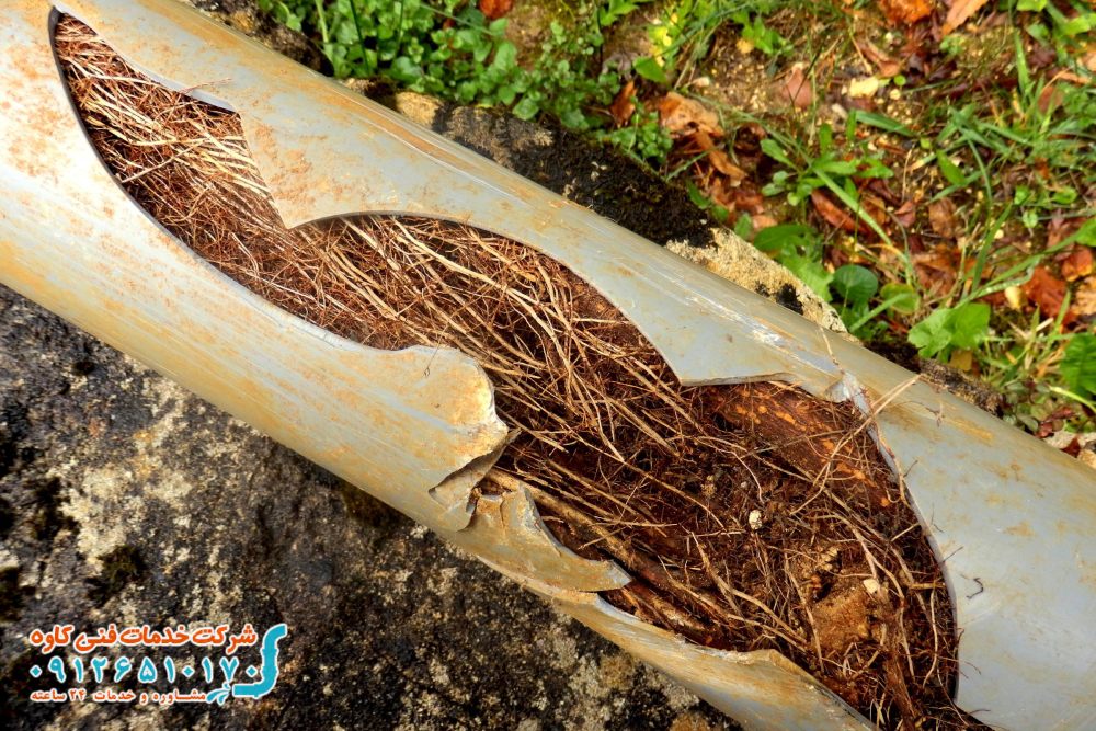 گرفتگی لوله فاضلاب با ریشه درخت؛ بررسی علائم و راه حل ها